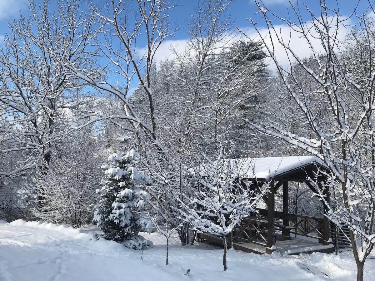 Gallery Of Mountains Holiday Home Yasinya Luaran gambar
