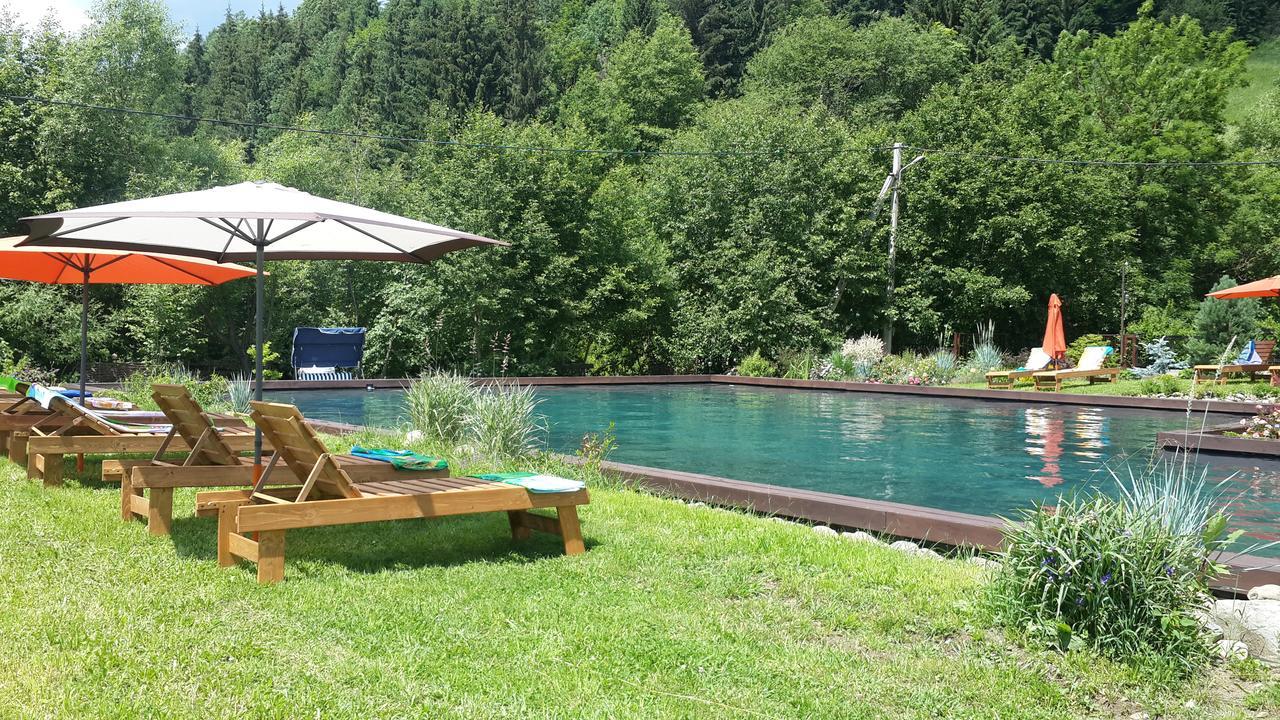 Gallery Of Mountains Holiday Home Yasinya Bilik gambar