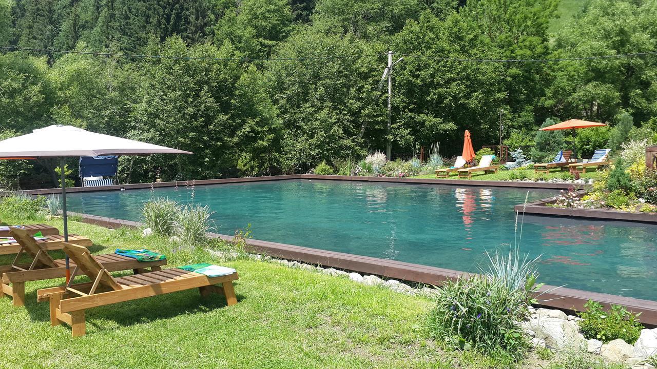 Gallery Of Mountains Holiday Home Yasinya Bilik gambar