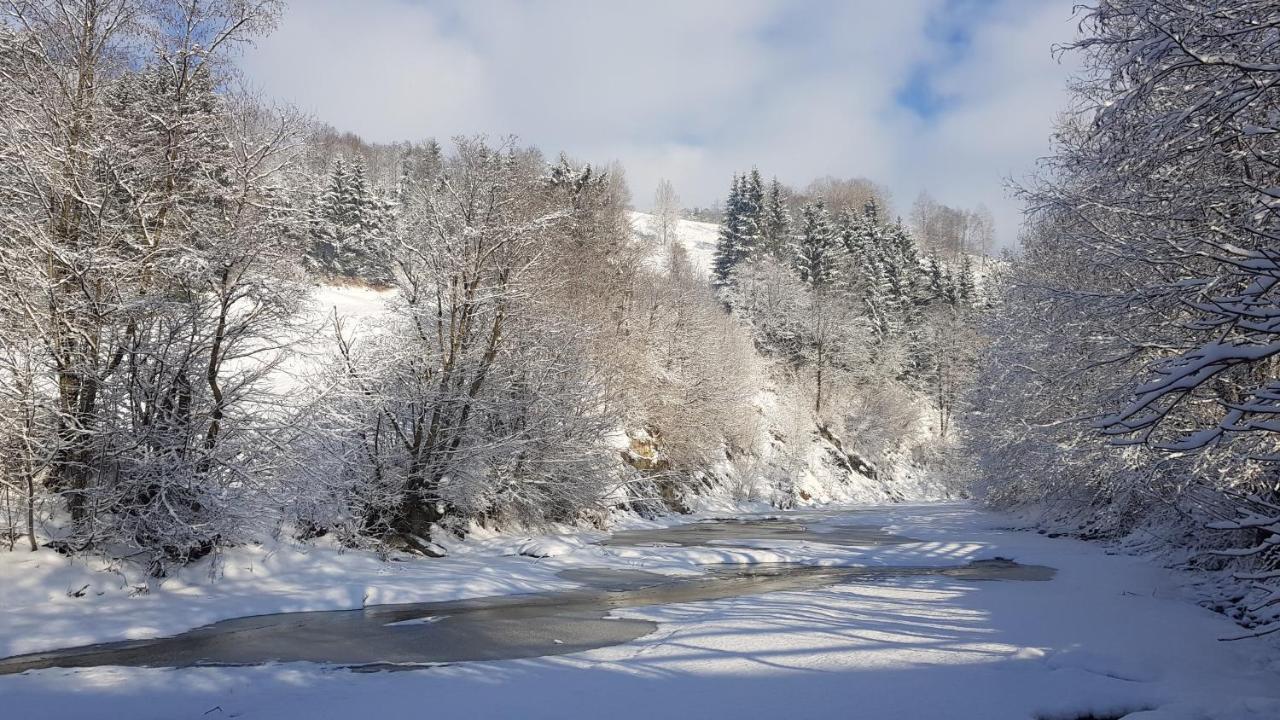 Gallery Of Mountains Holiday Home Yasinya Luaran gambar